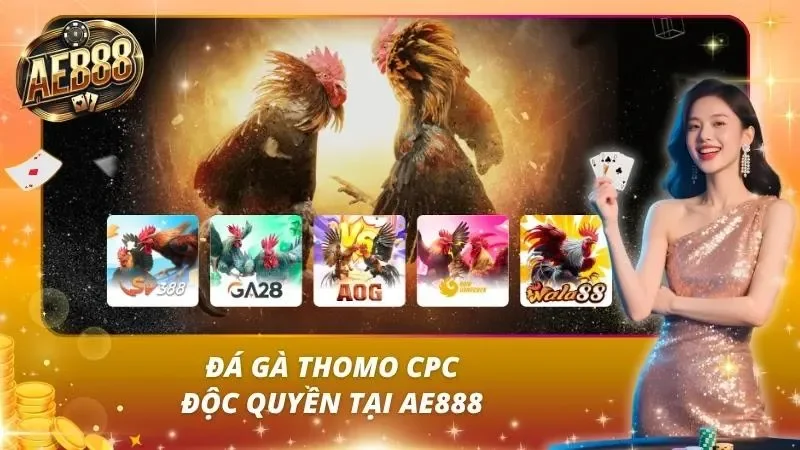 AE888⭐️datasonar⭐️TRANG CÁ CƯỢC UY TÍN NHẤT 2026【AE888 VINA】 29 Khu đá gà Thomo AE888 phát trực tiếp HD